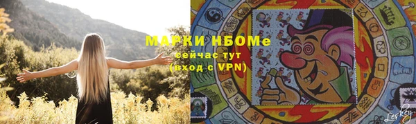трава Новокубанск